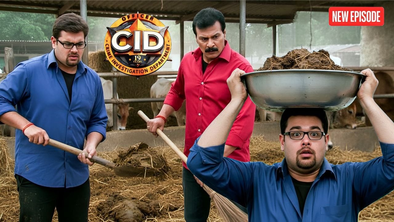 Pankaj और Freddy से हो गई बड़ी गलती, दूध की जगह उठा लाए गाय का गोबर ! || CID | Latest  Episode ||