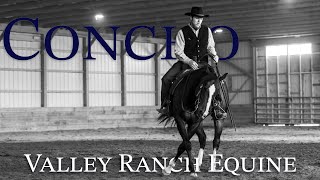 Concho  Valley Ranch Equine (April Update)