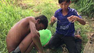 Cambo Trap Baskets Fish Eels - AMAZING!!! Children Catch A Lot Of Fish Eels With Baskets Work 100%