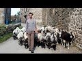 Le retour à la terre - Un film de Jeanne Menjoulet et du CHS