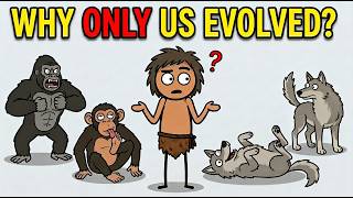 Among Millions of Living Things, Why Did Only We Evolve Into Intelligent Beings?