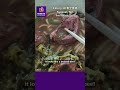 Eatery 19 - Syosset NY - Beef Noodle Soup