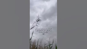 القران الكريم || تلاوة خاشعة جميلة جدا 🫀🤍 | حالات واتس اب‏‏ اكتب شيئ يشفع لك يوم القيامه🧡..‏ …