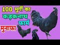 100 मुर्गी का कड़कनाथ फार्म का खर्चा | 100 black hen farm