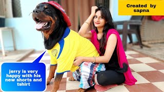 Sapna helps rottweiler to wear t-shirt and shorts.best guard dog breed