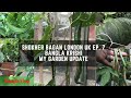 Shokher Bagan London UK - July 2020 - Bangla Krishi - Bangladeshi Veg Garden - Ep.7 - Bangla Vlog