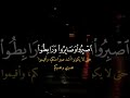 القارئ عمر ضياء الدين قرآن شورت Shorts قاری قرآن 