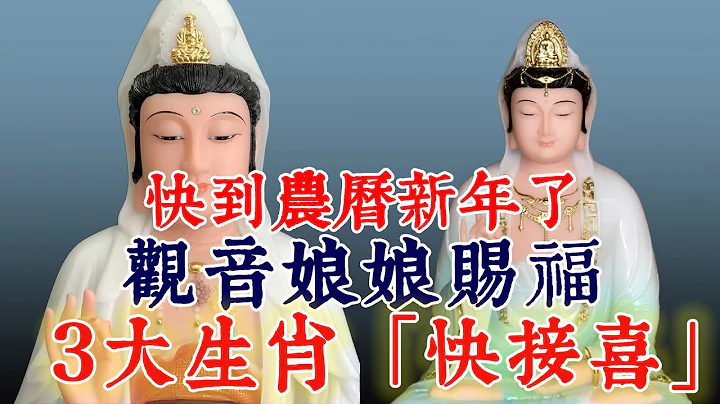 2024年农历新年在即，观音大士赐福，3大生肖快来拜年！菩萨保佑，运势旺盛，幸福美满！|#佛语禅心  #运势 #风水 #佛教 #生肖【佛语】 - 天天要闻