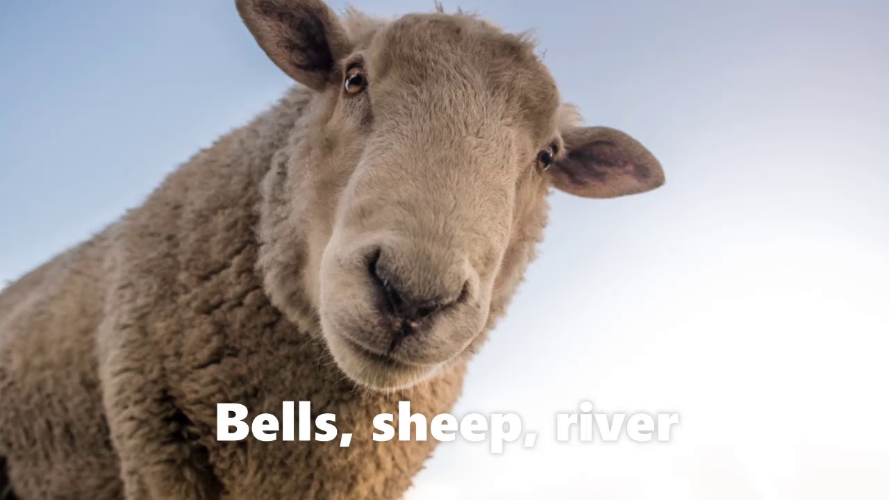 [No Copyright Music] Nature sounds: Sheep, sheep-bells, river. 30 minutes.