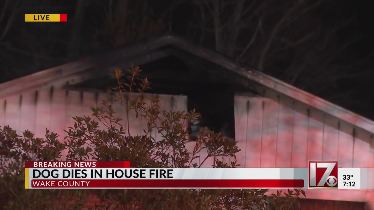 Dog dies in house fire on Creedmoor Road in Wake County - YouTube