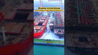 Жизнь сухогруза. Монстры морской логистики.