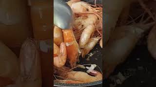 asin lang sapat na pampalasa para sa hipon