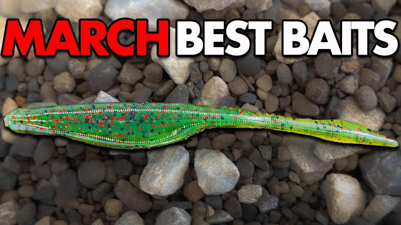 I NEVER Go Fishing WITHOUT These 5 Baits in March!