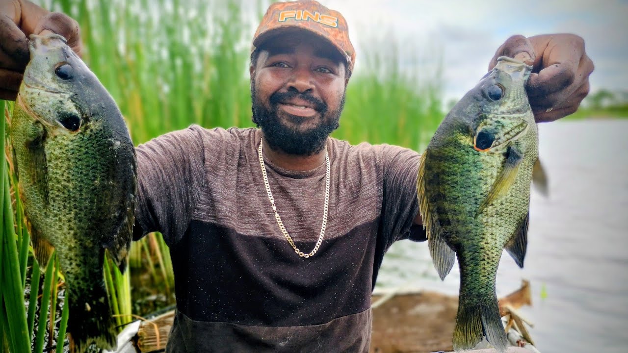 Catfish, Big Shellcracker & Tilapia Fishing Using Tight Lines & Red Worms. #fishing #fyp #tightlines