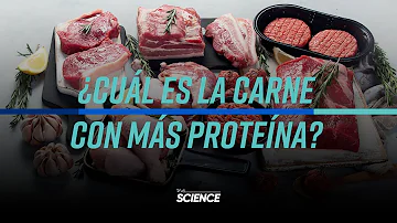 ¿Qué carne tiene más proteínas?