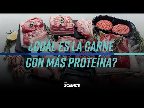 Video: ¿Es la carne de res una buena fuente de proteínas?