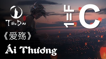 Cảm âm C ÁI THƯƠNG《爱殇》伴奏 Love Wounds Accompaniment | Tiêu Dao
