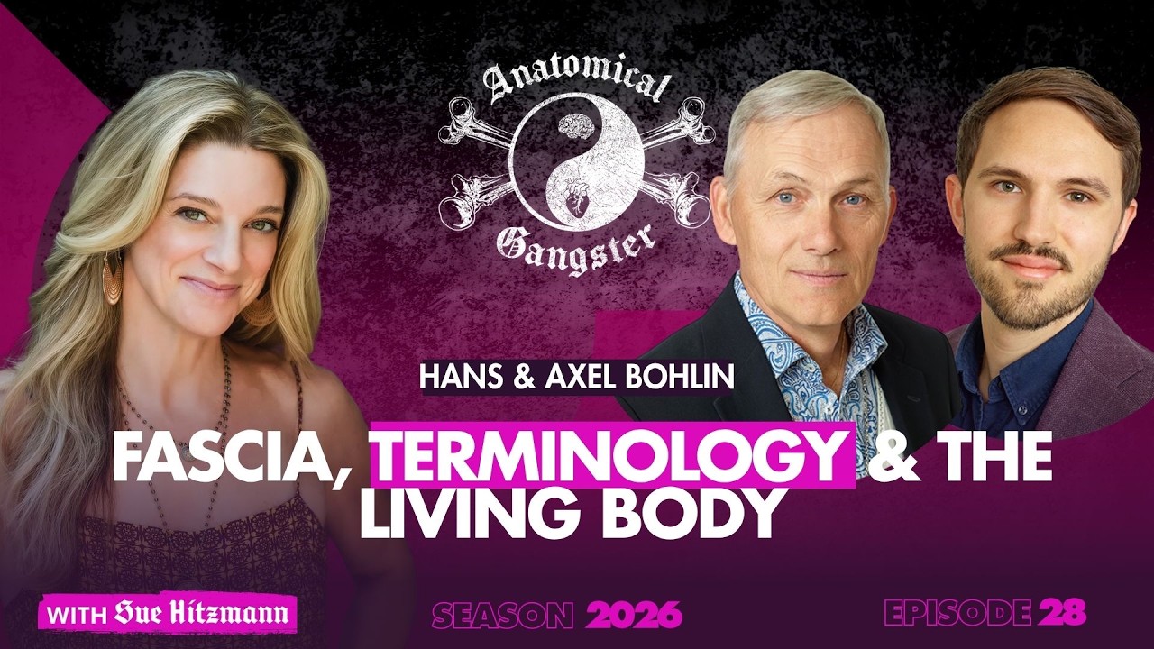 Hans and Axel Bohlin on Anatomical Gangster