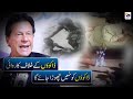 Dakuon Ko Nahi Chhora Jayga PM Imran Khan