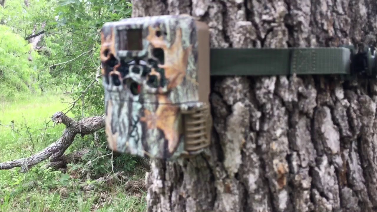 2018 Browning Strike Force Extreme Trail Camera BTC5HDX Review YouTube