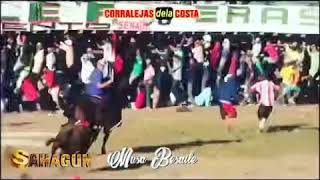 Cóndor de la cría mejor caballo en Sahagún y mejor banderillero a caballo, y mejor toro de la cría