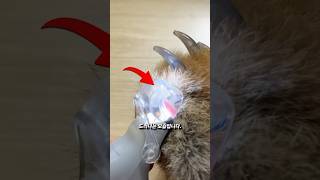 보이지 않던 혈관을 드러내는 led 발톱깎이