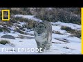 Mountains (Full Episode) | Hostile Planet