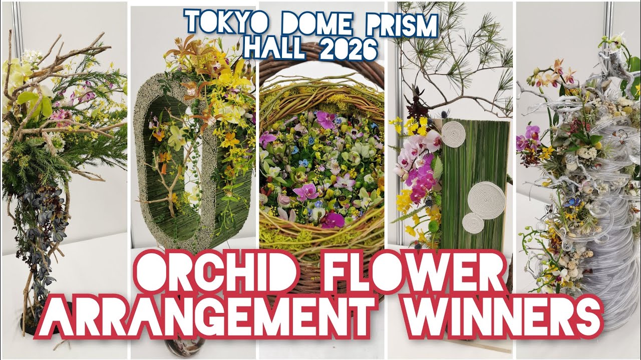 WORLD FLOWER ARTISTS 世界のフラワーアーティスト September 2025 Exhibition | FCCJ