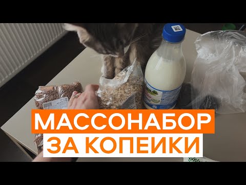 Качественный Массонабор За