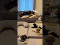 ワンズだﾖ!!全員集合🐶🐾