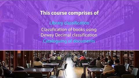 Document processing and organisation