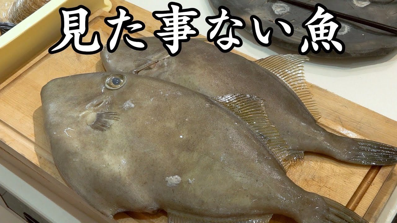 マジで謎すぎる魚が売ってたので買ってたべてみたら・・・