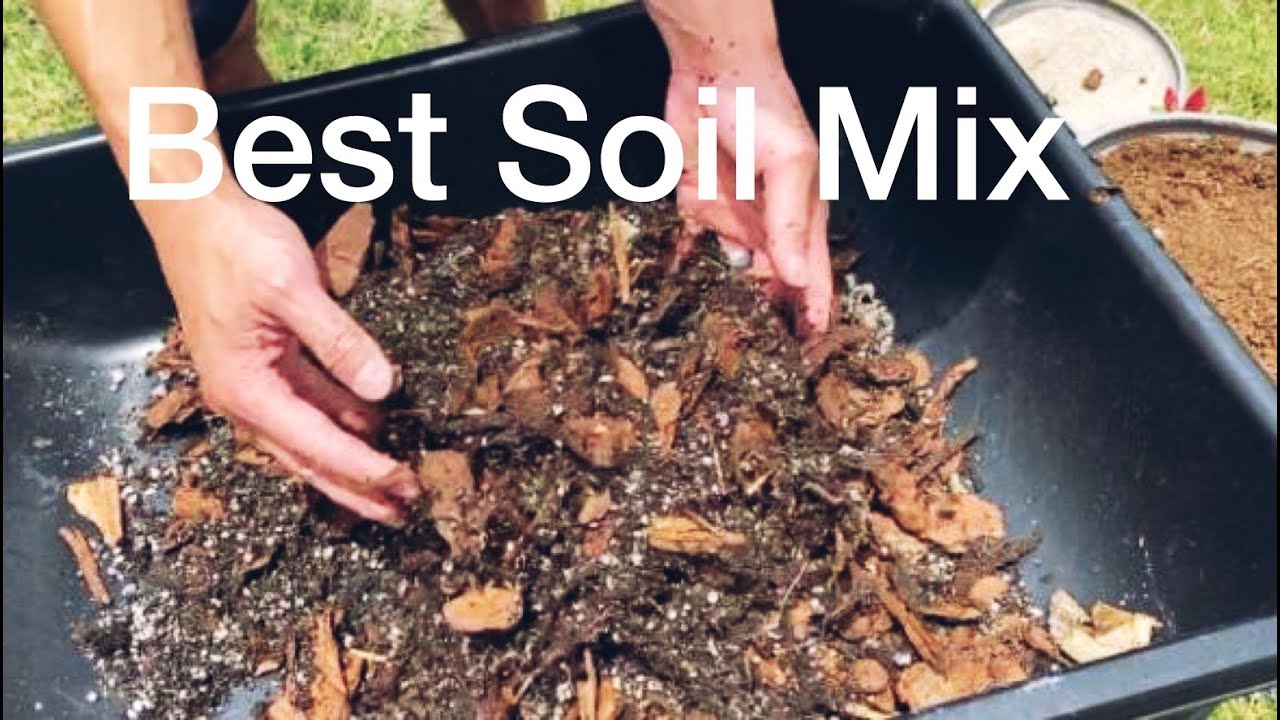 How Do You Make Desert Rose Soil?