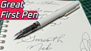 Under $10 - Two Greats Combined Platinum & Muji Preppy Fountain Pen