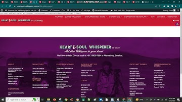 Create NextGen Gallery and Setup the Gallery on a page