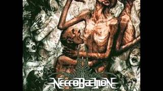 Necrodaemon - Prophecy Of The Decadent