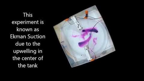 Ekman Suction Experiment