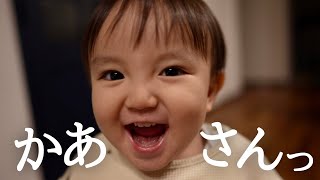 【離乳食】初めての手羽元初めて「お母さん」「お父ちゃん」と呼んでくれました