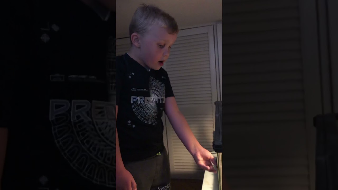 MEET MS LOKI MY GECKO 🦎🤩❤️ 