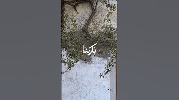 قرآن كريم بصوت جميل اجر لي ولكم