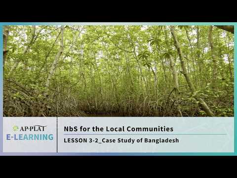 What Is The Local Zonal Area Of Sea Of Bangladesh