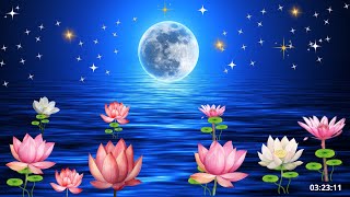 Relaxing Meditation Music Heavenly Blue Dream Night with Full Moon Moving Lotus Delta Waves