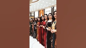 traditional dabke dance 🤓dabke dance performance #remix #arabic #dabke #middleeasterndanc #dabkedanc