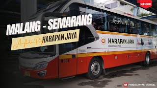 MALANG SEMARANG BERANGKAT PAGI?? HARAPAN JAYA SOLUSINYA‼️HINO RN285 - AVANTE TENTREM