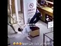 دكتوري مالي العين