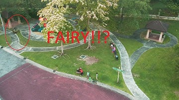 Creepy Capture with my DJI SPARK (with Slow Motion) its a FAIRY?