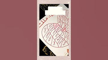 رسم قلب 🩷 فكرة جميلة لتشجيع الأطفال لحفظ القرآن الكريم 🌸🌸