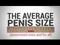What Is The Average Penis Size