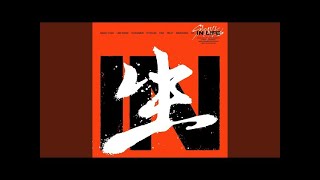 Stray Kids The Tortoise and The Hare 8D AUDIO