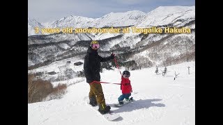 白馬栂池山頂から３歳キッズとスノーボーディング！（3years old snowboarder at Tsugaike Hakuba）